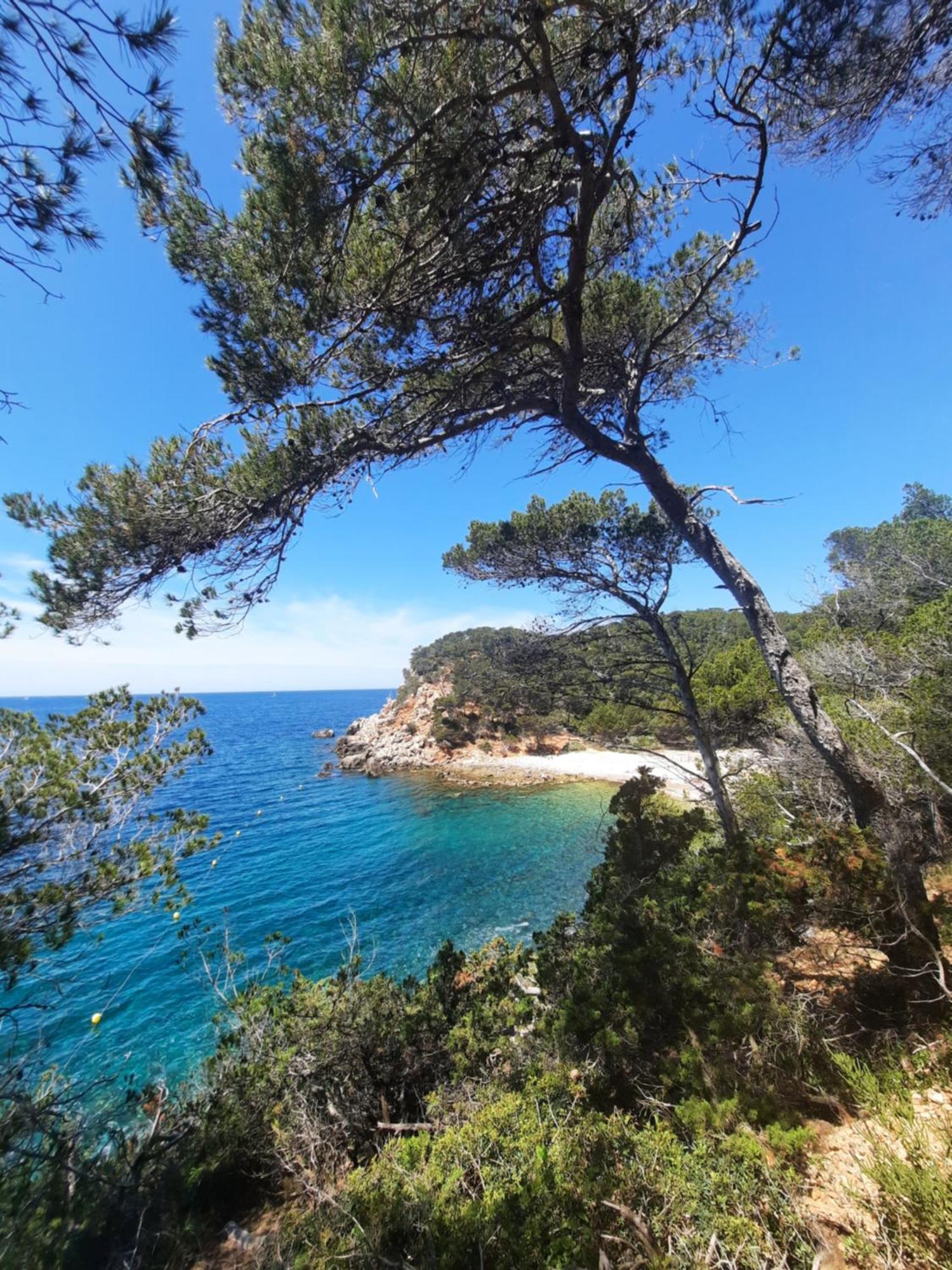 Maison Independante Avec Piscine Privative Pres De La Mer La Garde  Exteriér fotografie